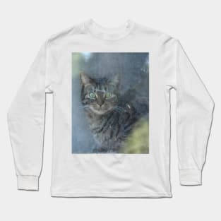 Cat behind a glass pane Long Sleeve T-Shirt